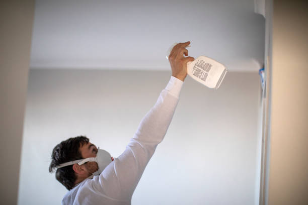Best Water Damage Restoration  in Whittier, CA