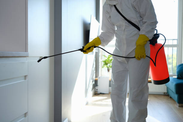 Best Attic Mold Removal  in Whittier, CA