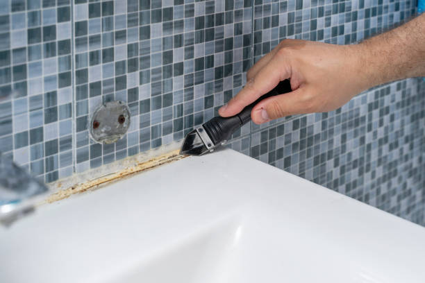 Best Emergency Mold Removal  in Whittier, CA